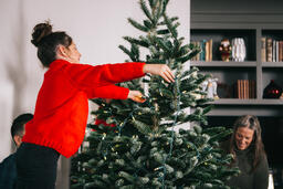 Mother and Daughter Decorating the Christmas Tree Together  image 2