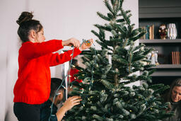Mother and Daughter Decorating the Christmas Tree Together  image 5