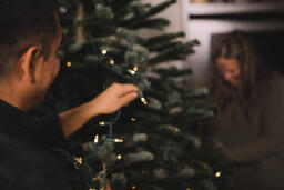Man Putting Twinkle Lights on a Christmas Tree  image 6