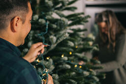 Man Putting Twinkle Lights on a Christmas Tree  image 2