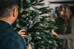 Man Putting Twinkle Lights on a Christmas Tree  image 4