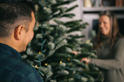 Man Putting Twinkle Lights on a Christmas Tree  image 3