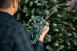 Man Putting Twinkle Lights on a Christmas Tree  image 5