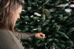 Woman with Gray Hair Decorating a Christmas Tree  image 2