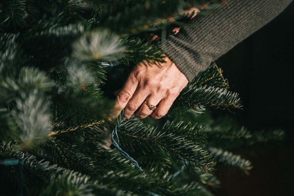 Woman's Hand Putting String Lights on a Christmas Tree large preview