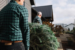 Two Men Carrying a Christmas Tree into a House  image 2