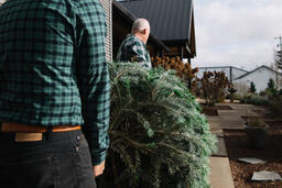 Two Men Carrying a Christmas Tree into a House  image 1