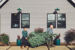 Two Men Carrying a Christmas Tree into a House  image 2