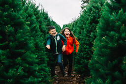 Young Kids Running through a Christmas Tree Farm  image 2