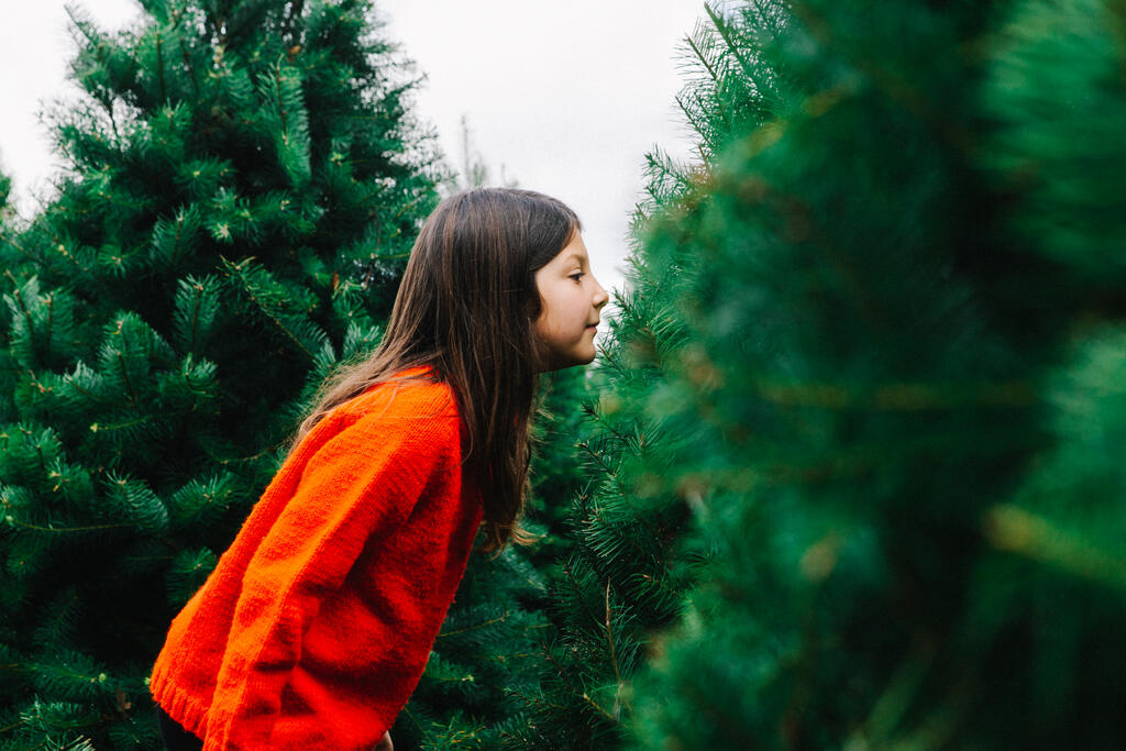 Young Girl Smelling a Christmas Tree large preview