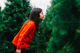 Young Girl Smelling a Christmas Tree  image 2