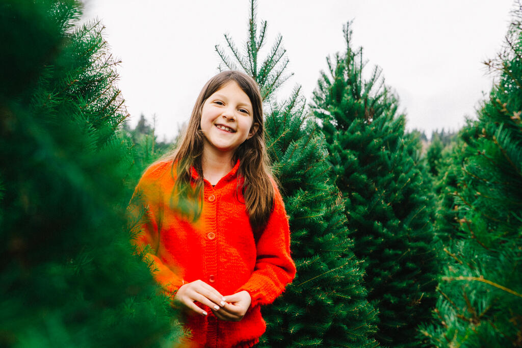 Young Girl at a Christmas Tree Farm large preview