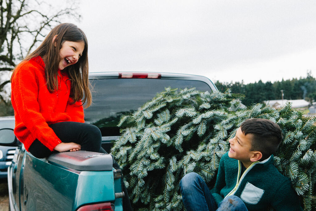 Kids Laughing in the Bed of a Pick Up Truck with a Christmas Tree large preview