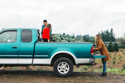 Young Family Loading a Christmas Tree into their Truck  image 1