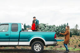 Young Family Loading a Christmas Tree into their Truck  image 2