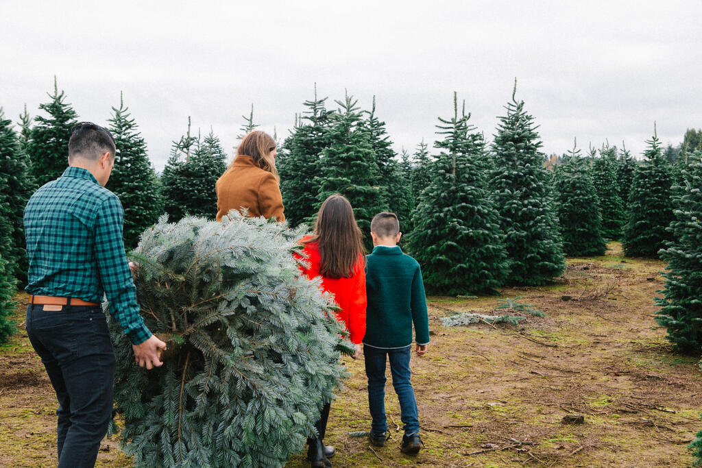 Young Family Carrying Christmas Tree large preview