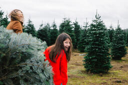 Mother and Daughter with a Freshly Cut Christmas Tree  image 2