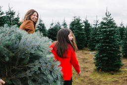 Mother and Daughter with a Freshly Cut Christmas Tree  image 3
