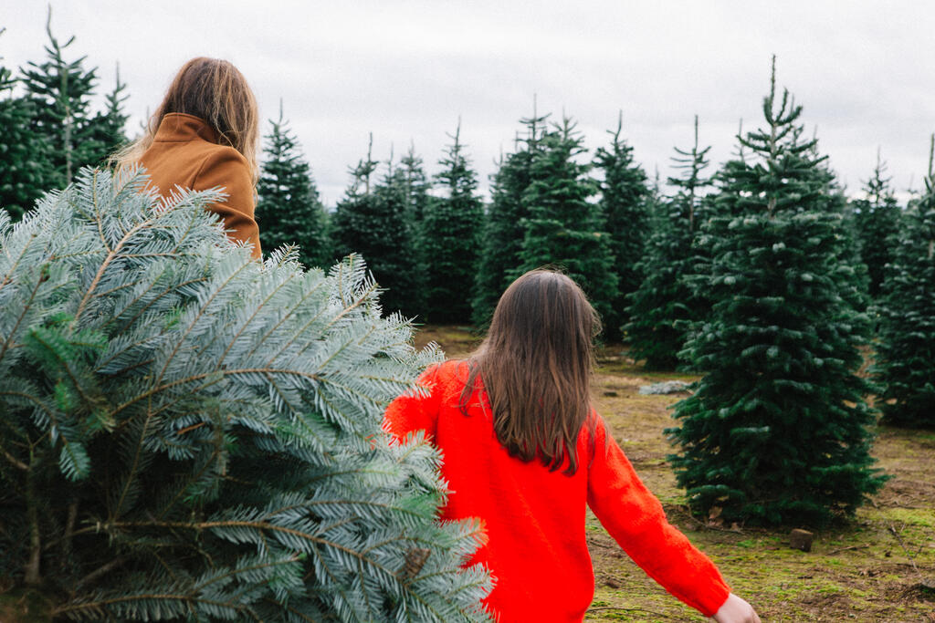 Mother and Daughter with a Freshly Cut Christmas Tree large preview