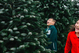 Kids at a Christmas Tree Farm  image 2