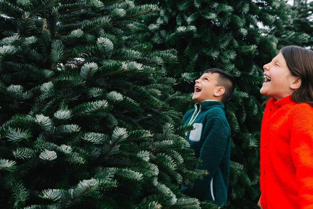 Kids at a Christmas Tree Farm large preview