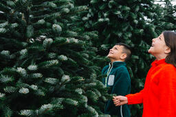 Kids at a Christmas Tree Farm  image 3