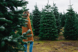 Woman Walking Through a Christmas Tree Farm  image 2