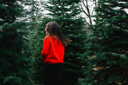 Young Girl at a Christmas Tree Farm  image 1