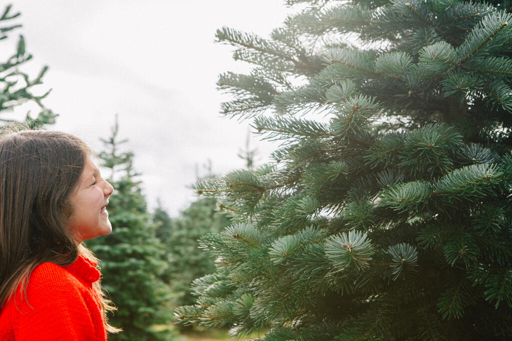 Young Girl at a Christmas Tree Farm large preview