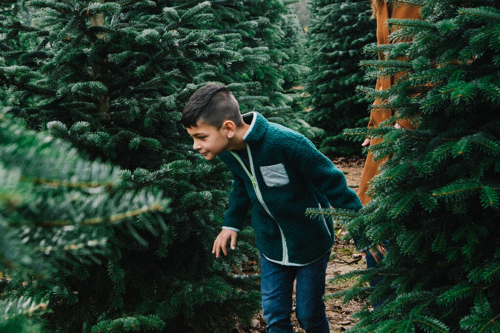 Young Boy Smelling a Christmas Tree large preview