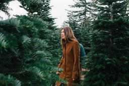 Woman Walking Through a Christmas Tree Farm  image 1