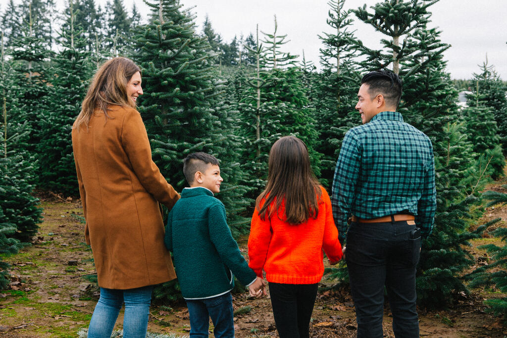 Young Family at the Christmas Tree Farm large preview