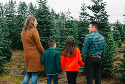 Young Family at the Christmas Tree Farm  image 2