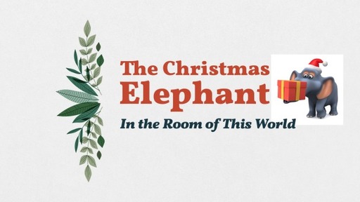 Dec. 19, 2021 - The Christmas Elephant