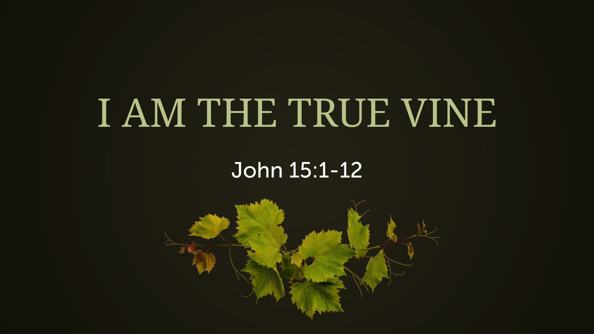 I AM THE TRUE VINE - Logos Sermons