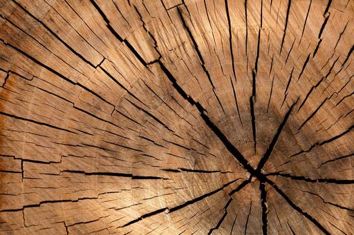 Lumber-84678 1920