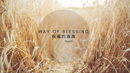Way of Blessing 祝福的道路