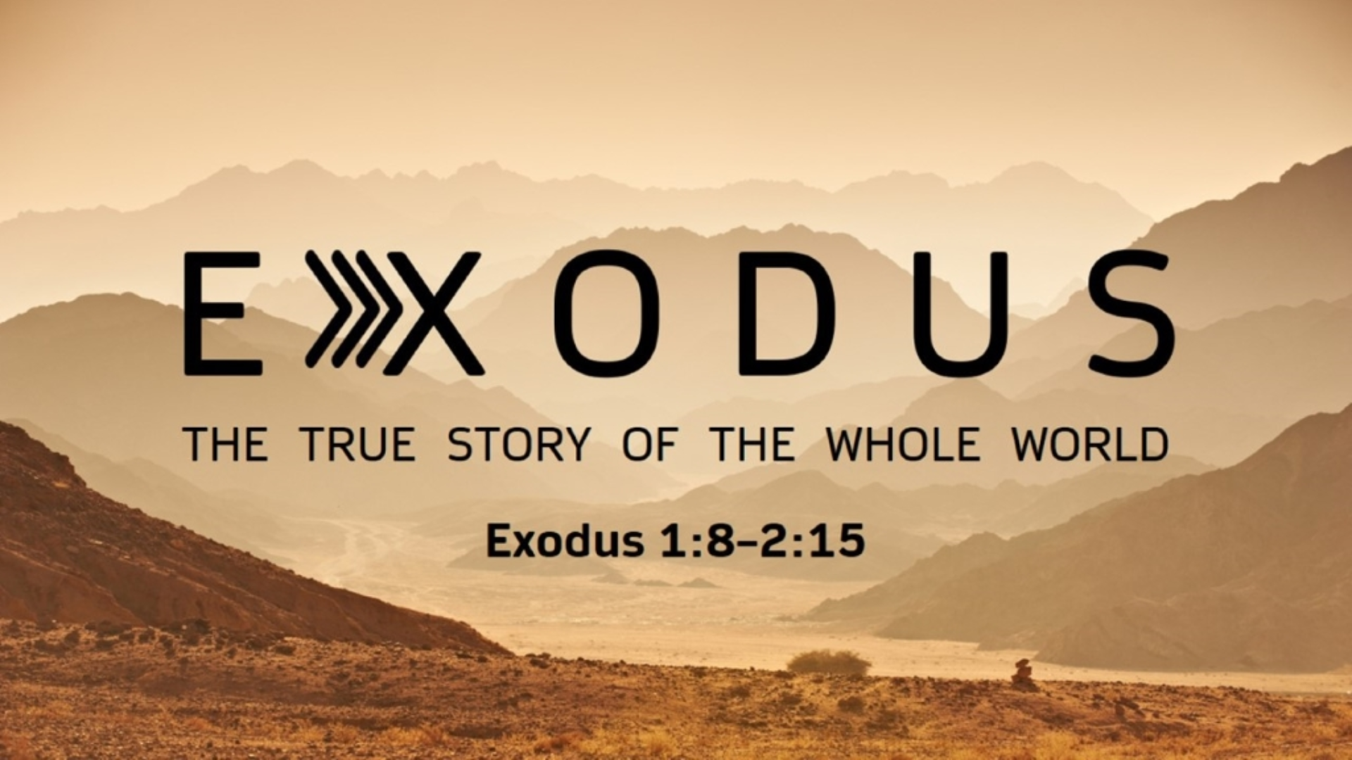 The True Story of the Whole Word - Logos Sermons