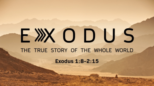 Exodus: The True Story of the Whole World
