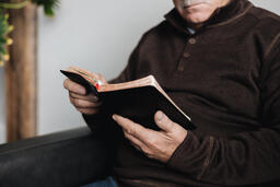 Senior Man Reading the Bible at Home  image 2
