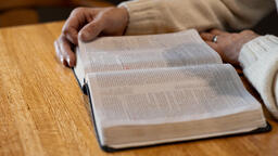 Man Reading the Bible Alone  image 5
