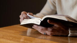 Man Reading the Bible Alone  image 4
