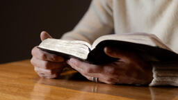 Man Reading the Bible Alone  image 3
