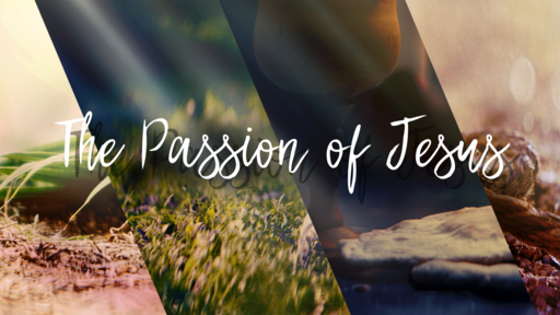 The Passion of Jesus