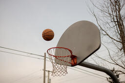 Basketball Hoop  image 3