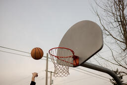 Basketball Hoop  image 2