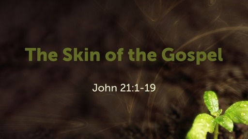 The Skin of the Gospel