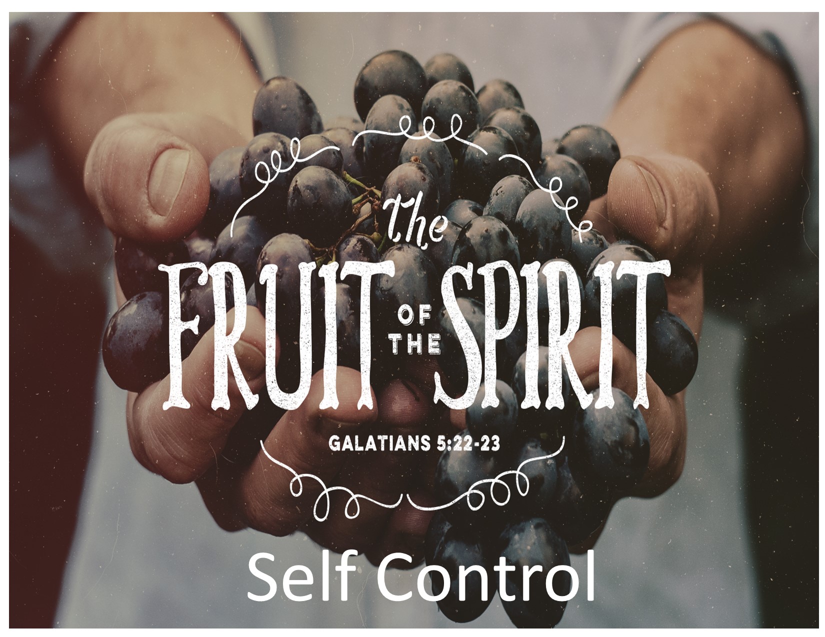 Self Control - Logos Sermons