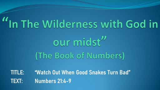 Watch out when Good Snakes turn Bad (Num 21:4-9)