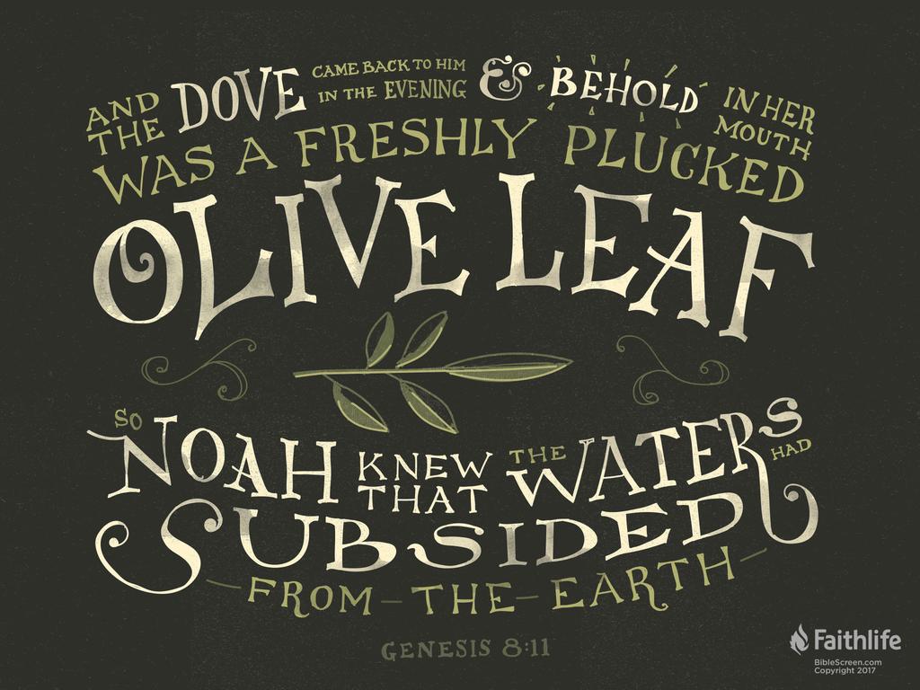 And the dove came back to him in the evening, and behold, in her mouth was a freshly plucked olive leaf. So Noah knew that the waters had subsided from the earth.
